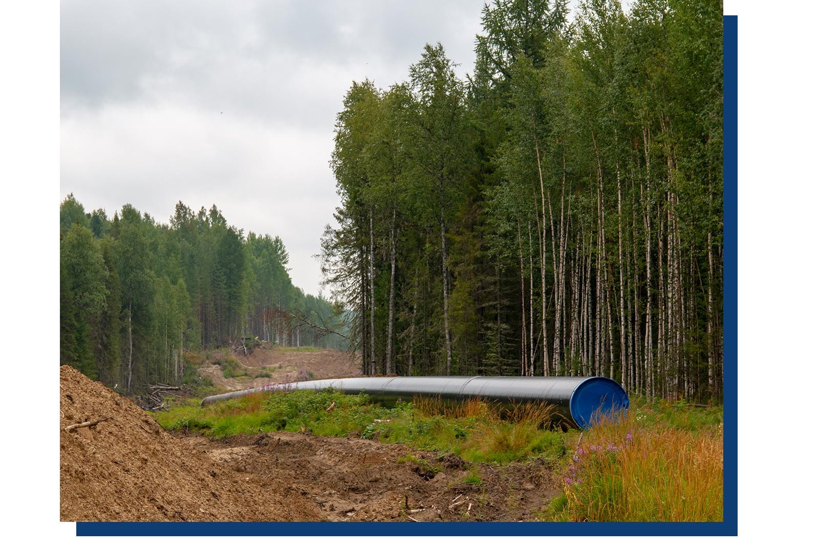 Natural Gas Distribution